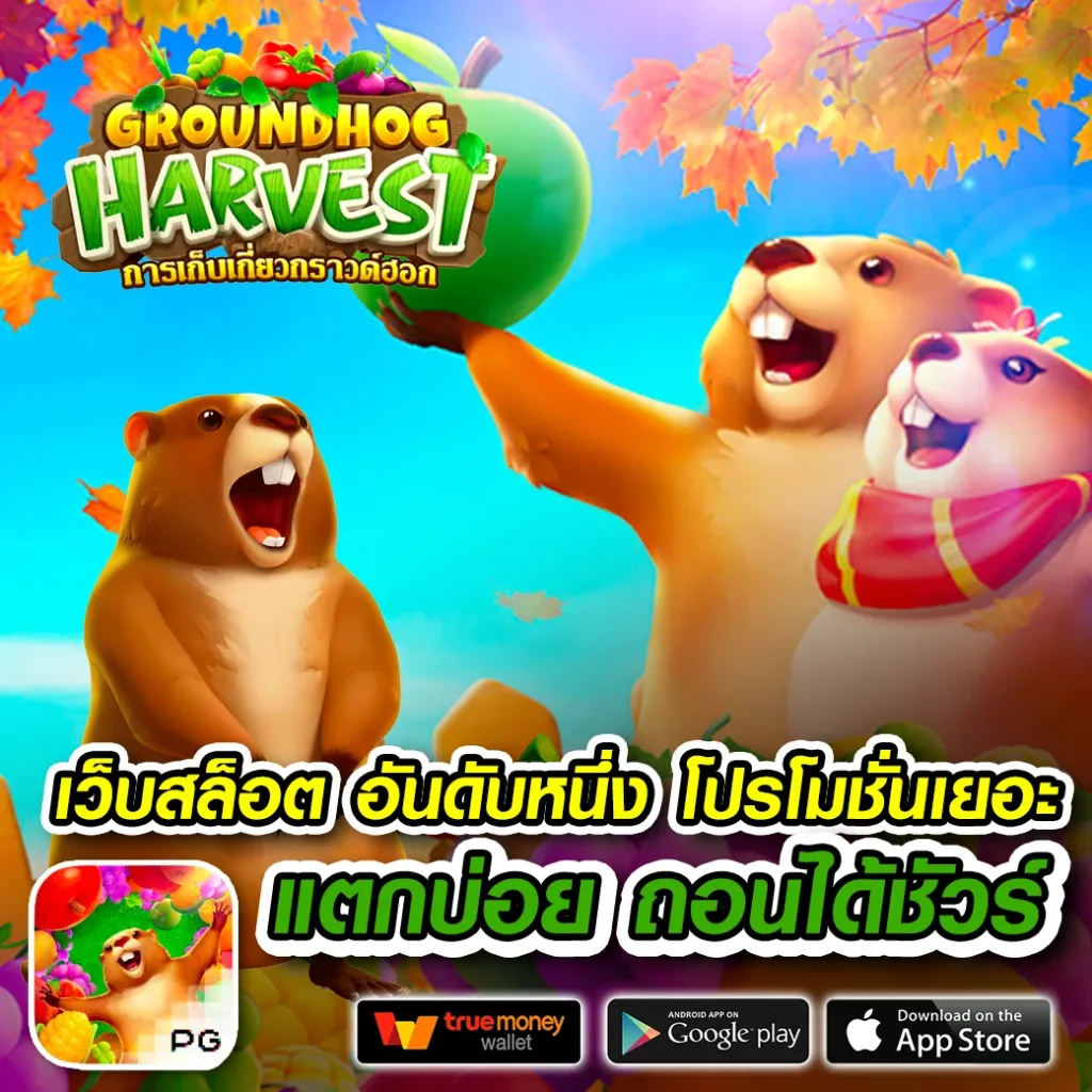 hyp-365 สมัครฟรี